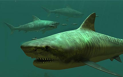 دانلود اسکرین سیور زیبای کوسه ببری Tiger Sharks 3D Screensaver