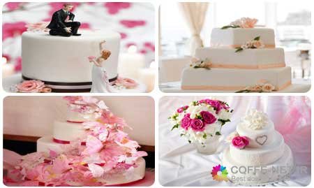 مدل های جدید و زیبای کیک عروسی Wedding cake