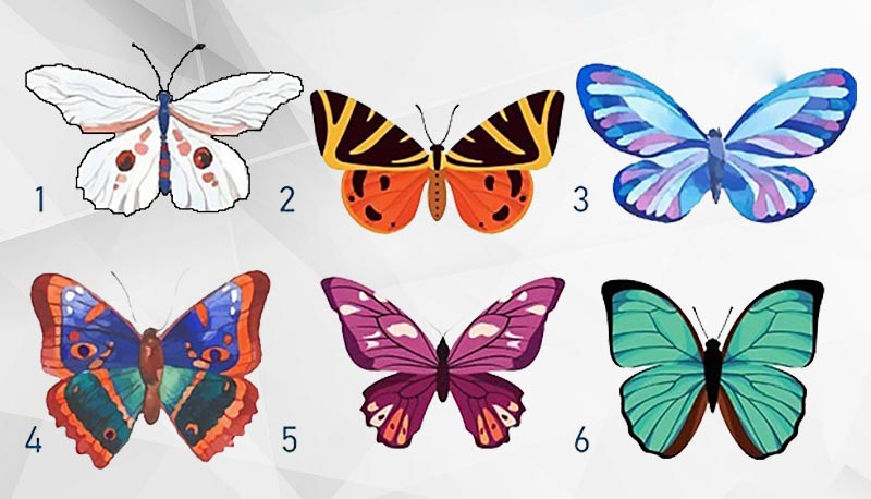 تست شخصیت شناسی /کدام پروانه را انتخاب میکنید؟